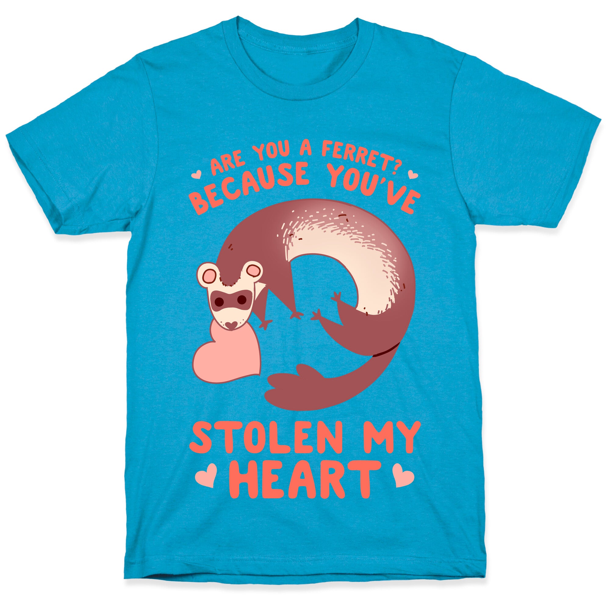 Are You A Ferret? Because You've Stolen My Heart Unisex Triblend Tee